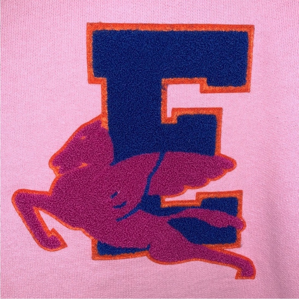 Authentic ETRO colour-block embroidered logo hoodie - Picture 14 of 16